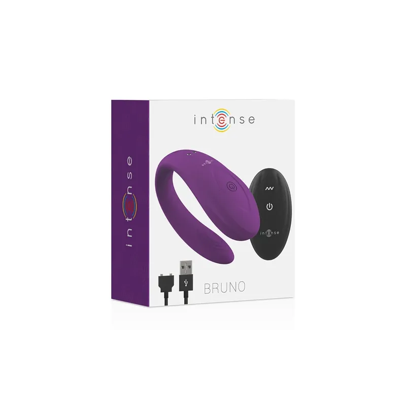 D-227613 INTENSE REMOTE CONTROL