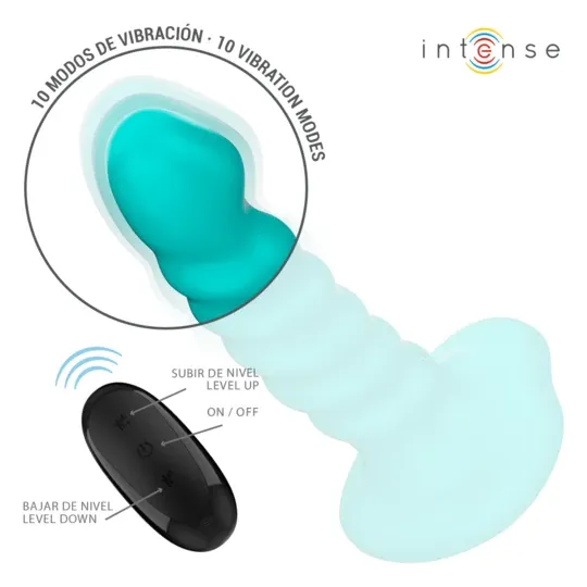 D-244466 INTENSE REMOTE CONTROL
