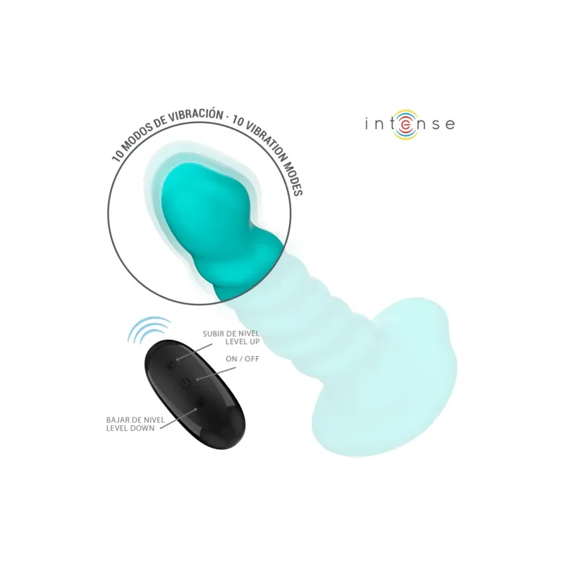 D-244466 INTENSE REMOTE CONTROL