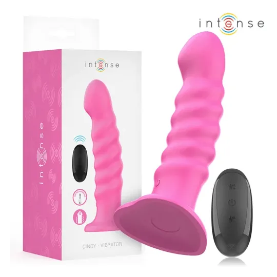 D-244465 INTENSE REMOTE CONTROL