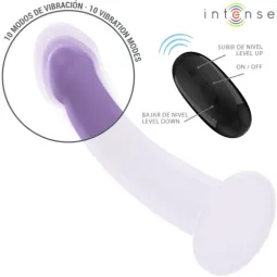 D-241959 INTENSE REMOTE CONTROL
