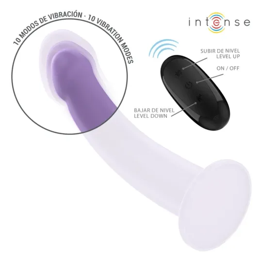 D-241959 INTENSE REMOTE CONTROL
