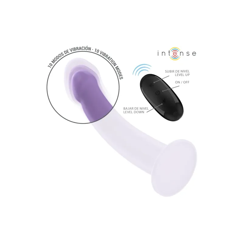D-244457 INTENSE REMOTE CONTROL