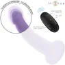 D-244457 INTENSE REMOTE CONTROL
