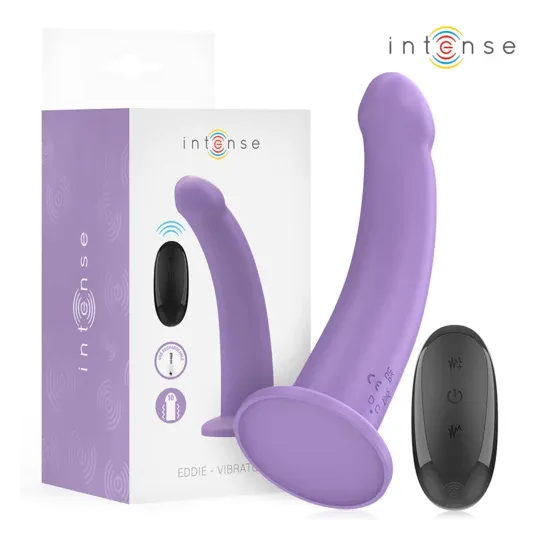 D-244457 INTENSE REMOTE CONTROL