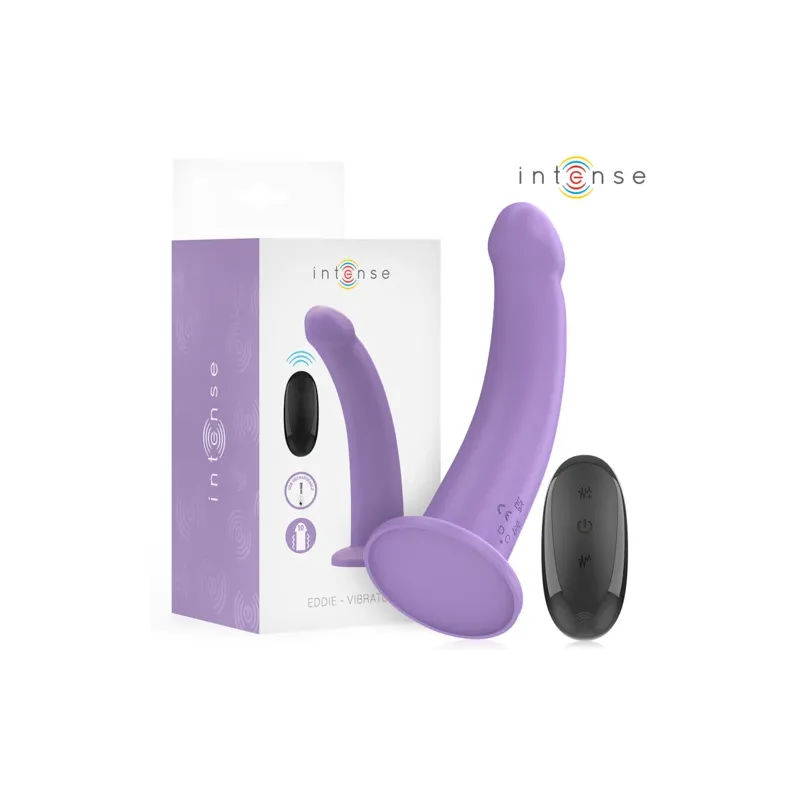 D-244457 INTENSE REMOTE CONTROL