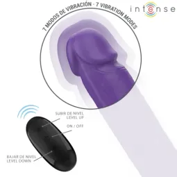 D-244463 INTENSE REMOTE CONTROL