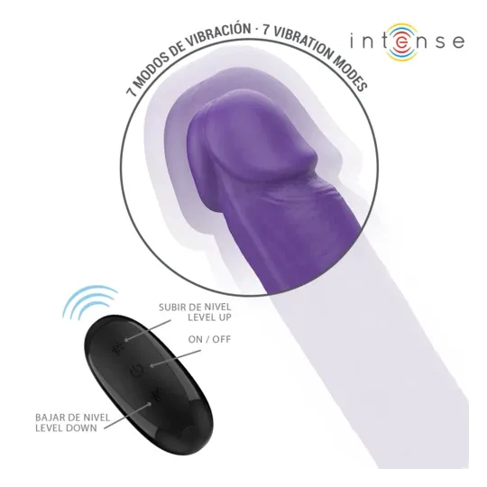 D-244463 INTENSE REMOTE CONTROL