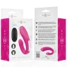 D-243386 INTENSE REMOTE CONTROL