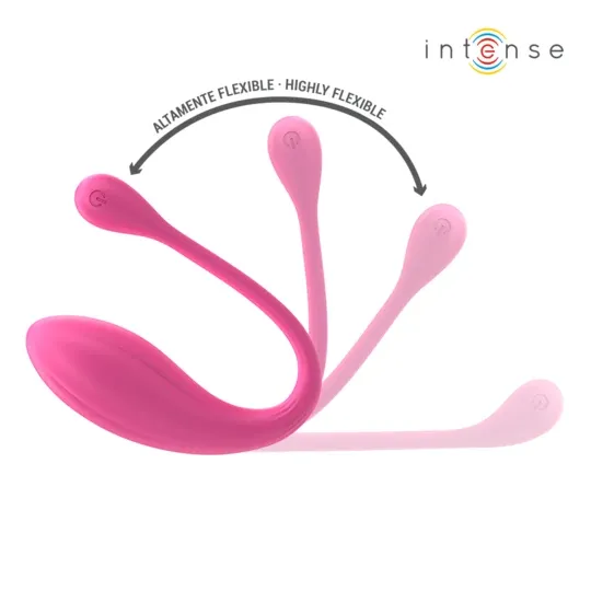 D-244462 INTENSE REMOTE CONTROL