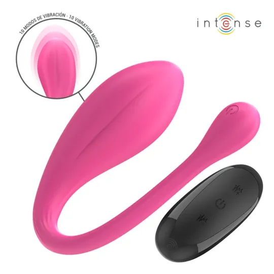 D-244462 INTENSE REMOTE CONTROL