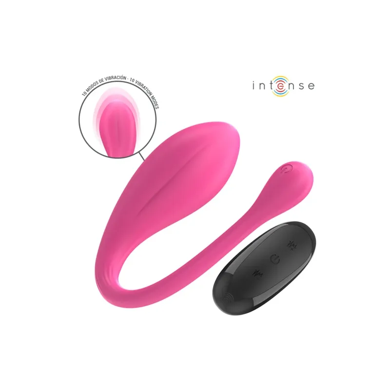 D-244462 INTENSE REMOTE CONTROL