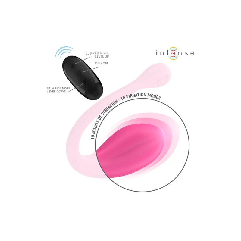 D-244462 INTENSE REMOTE CONTROL