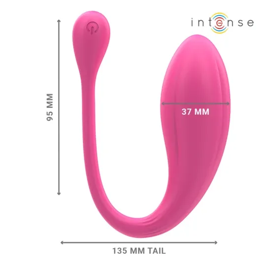D-244462 INTENSE REMOTE CONTROL