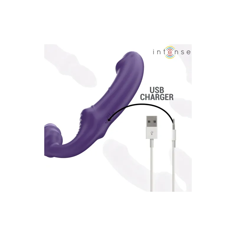 D-244454 INTENSE REMOTE CONTROL