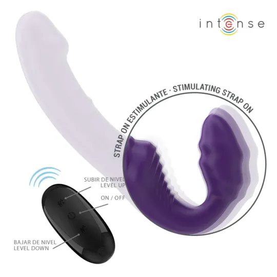 D-244454 INTENSE REMOTE CONTROL