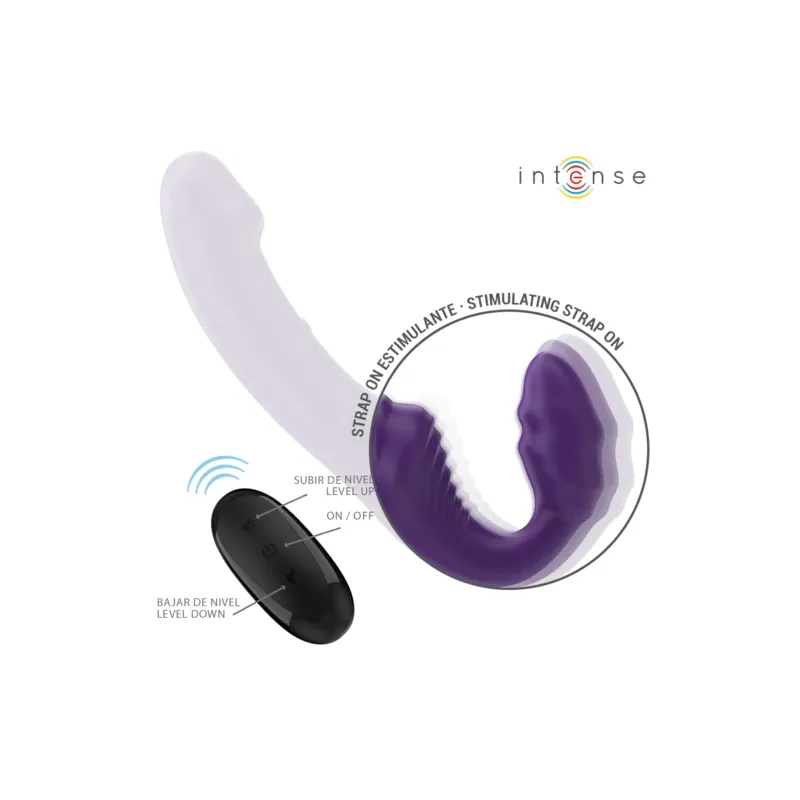 D-244454 INTENSE REMOTE CONTROL