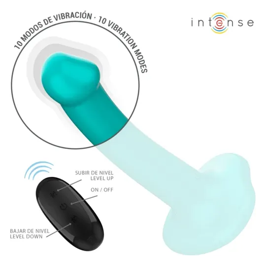 D-241984 INTENSE REMOTE CONTROL