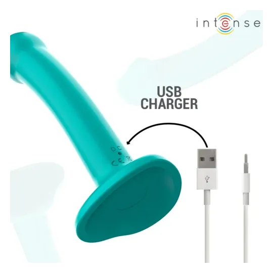 D-241984 INTENSE REMOTE CONTROL