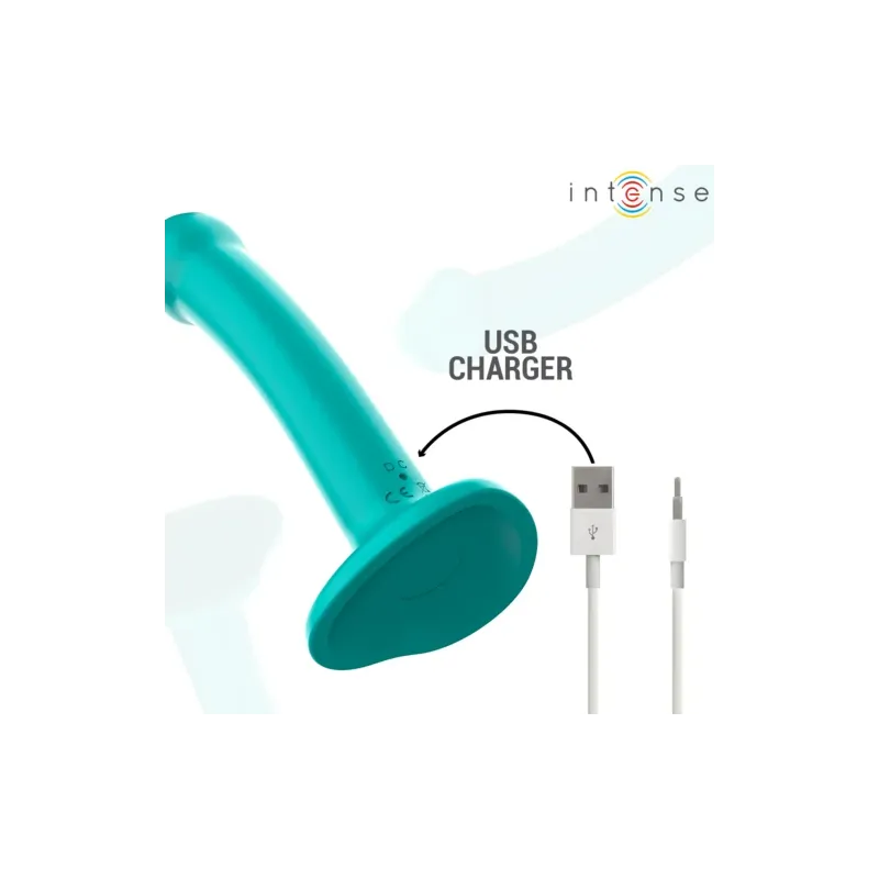 D-241984 INTENSE REMOTE CONTROL