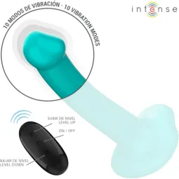 D-244473 INTENSE REMOTE CONTROL