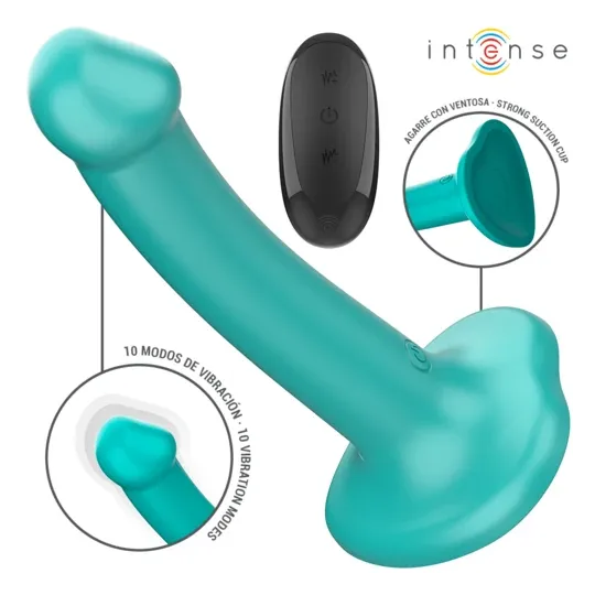 D-244473 INTENSE REMOTE CONTROL