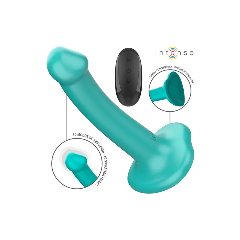 D-244473 INTENSE REMOTE CONTROL