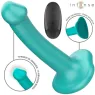 D-244473 INTENSE REMOTE CONTROL