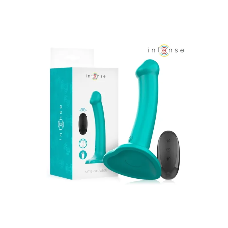 D-244473 INTENSE REMOTE CONTROL