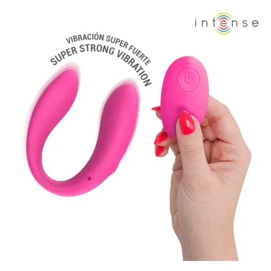 D-245691 INTENSE REMOTE CONTROL