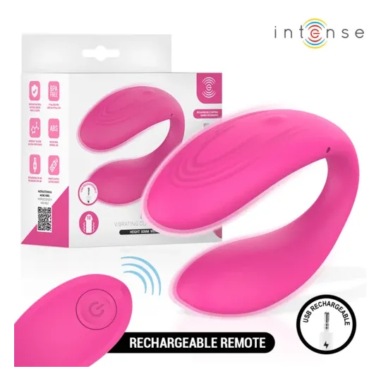 D-245691 INTENSE REMOTE CONTROL