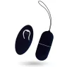 D-212764 INTENSE REMOTE CONTROL