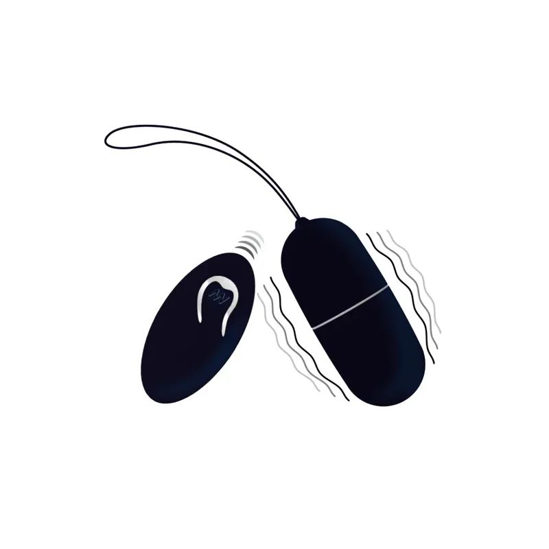 D-212764 INTENSE REMOTE CONTROL
