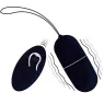 D-212764 INTENSE REMOTE CONTROL