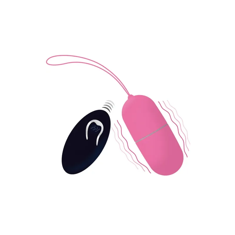 D-212765 INTENSE REMOTE CONTROL