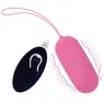 D-212765 INTENSE REMOTE CONTROL