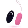 D-212765 INTENSE REMOTE CONTROL