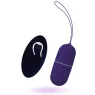 D-212766 INTENSE REMOTE CONTROL