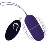D-212766 INTENSE REMOTE CONTROL