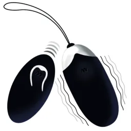 D-212763 INTENSE REMOTE CONTROL