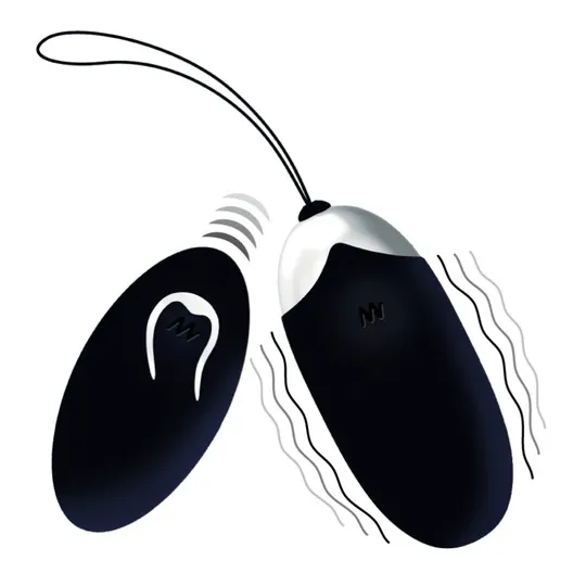 D-212763 INTENSE REMOTE CONTROL
