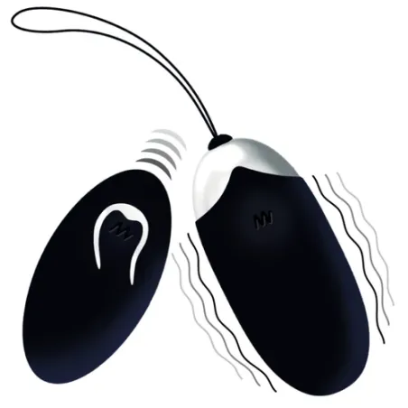 D-212763 INTENSE REMOTE CONTROL