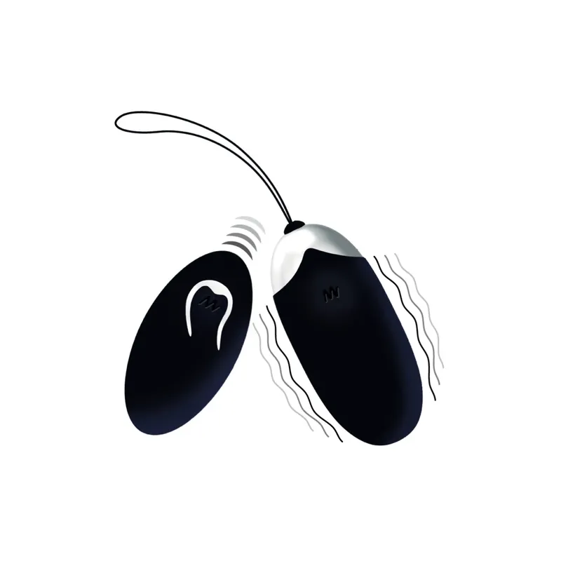 D-212763 INTENSE REMOTE CONTROL