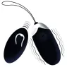 D-212763 INTENSE REMOTE CONTROL