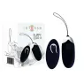 D-212763 INTENSE REMOTE CONTROL