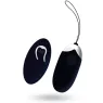 D-212763 INTENSE REMOTE CONTROL