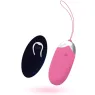 D-212761 INTENSE REMOTE CONTROL