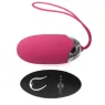 D-212761 INTENSE REMOTE CONTROL