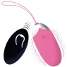 D-212761 INTENSE REMOTE CONTROL