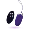 D-212762 INTENSE REMOTE CONTROL